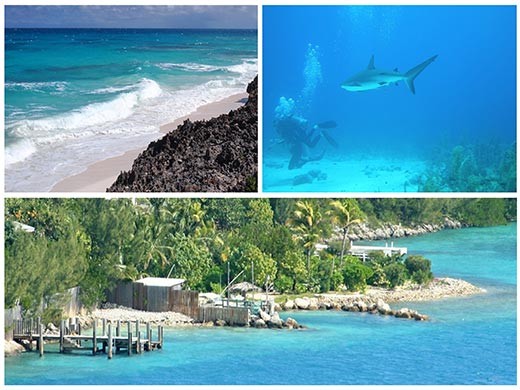 Bahamas Discount Cruises