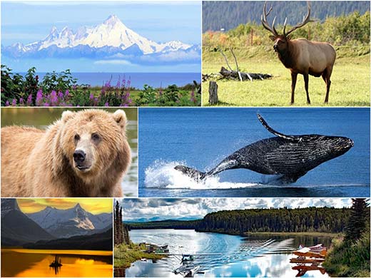 Anchorage Discount Cruises